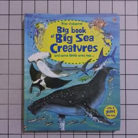 The Usborne Big Book of Big Sea Creatures