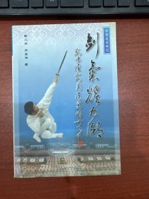 剑气耀太湖 陈周武术研究