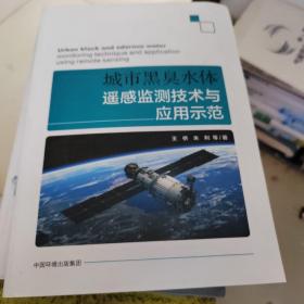 城市黑臭水体遥感监测技术与应用示范