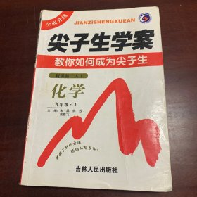 尖子生学案：化学9年级（上）（新课标·人）
