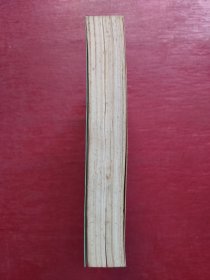 中国当代文学简史