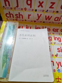 活在此时此刻（一行禅师修行手记）