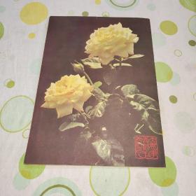 大众花卉1982年创刊号