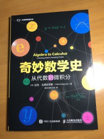 奇妙数学史从代数到微积分（数学科普佳作-适合中学生）