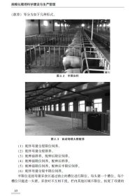 规模化猪场科学建设与生产管理（第2版）