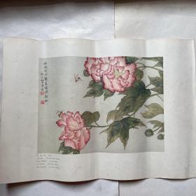 五十年代画辑散页《芙蓉花》