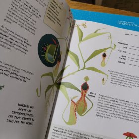 THE CARNIVOROUS PLANTS GUIDE for Young Explorers 食肉植物指南