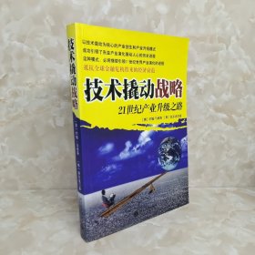 技术撬动战略：21世纪产业升级之路