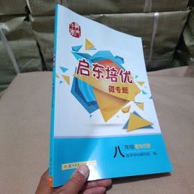启东系列：启东培优微专题 八年级数与代数