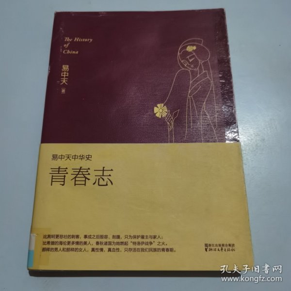 易中天中华史 第四卷：青春志(插图升级版）