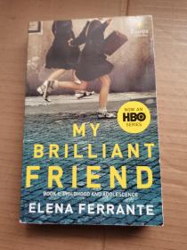 My Brilliant Friend: Book 1: Childhood and Adolescence 我的天才女友