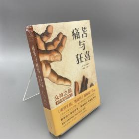 痛苦与狂喜：众神之巅：米开朗基罗传2