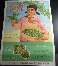 【大力采集槐米，支援国家出口】四开宣传画——孔网少见山东省土产工艺品进出口公司临沂支公司四开宣传画【大力采集槐花，支援国家出口】——更多宣传画年画请进店选拍选购！(收藏佳品值得拥有)位置：四开本H810-②