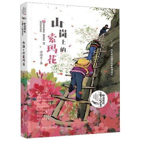 山岗上的索玛花/中国当代儿童小说大系【正版新书】