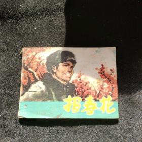 连环画  报春花