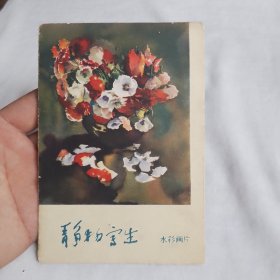 静物写生 水彩画片 （8张全。1963年3月1版1印）