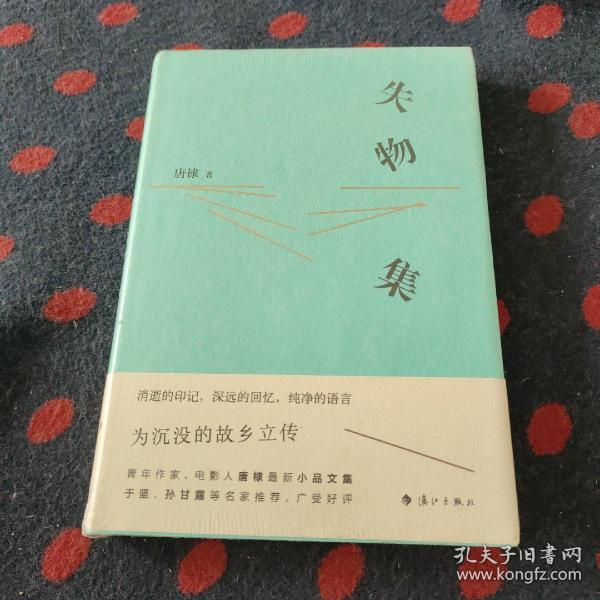 失物集（青年作家、先锋导演唐棣散文集，于坚、孙甘露名家推荐！）