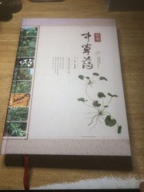 实用中草药