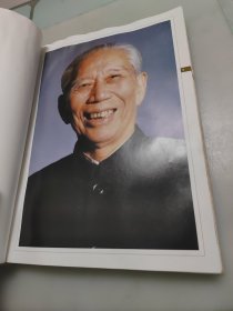 王震(大8开画册)