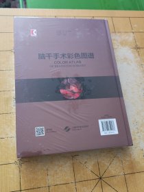 脑干手术彩色图谱B5