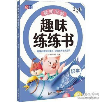 聪明大脑趣味练练书 识字 3-6岁 幼小衔接识字 入学必备 启蒙早教 趣味识字 全彩配图 轻松认知