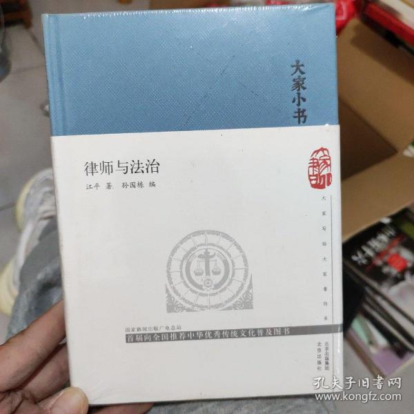 大家小书律师与法治（精）