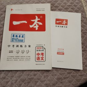 2019中考语文 新课标版 一本中考训练方案 专注训练16年(无笔记)