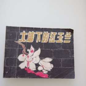 大墙下的红玉兰