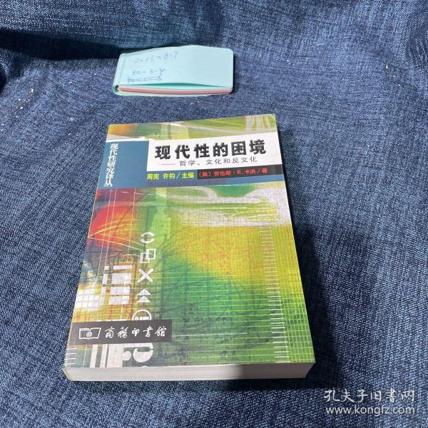 现代性的困境：现代性研究译丛