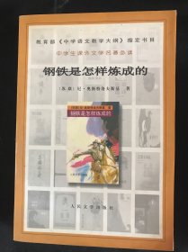 钢铁是怎样炼成的