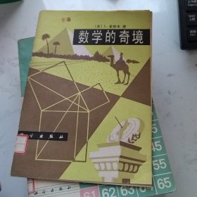 数学的奇境