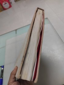 王震(大8开画册)