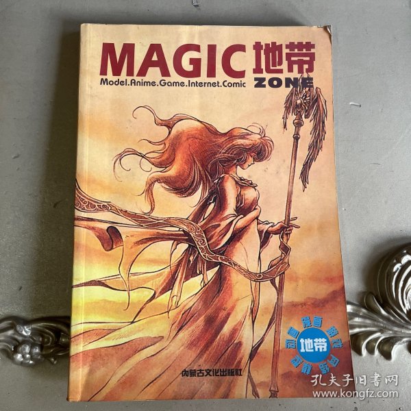 MAGIC地带：《电子游戏软件》杂志特刊