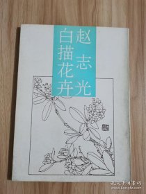 赵志光白描花卉