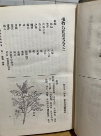 植物名实图考