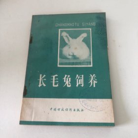 长毛兔饲养