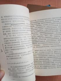 西方文学:心灵的历史