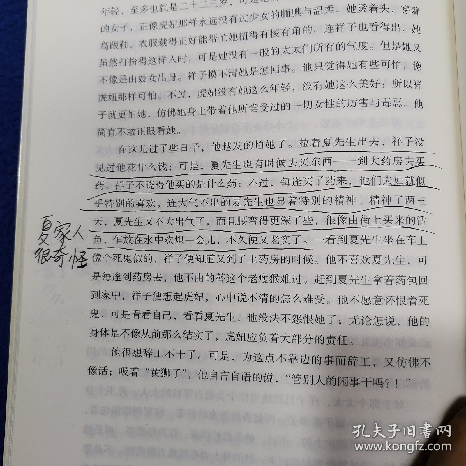 中小学新版教材（部编版）配套课外阅读 名著阅读课程化丛书 骆驼祥子