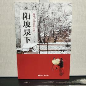 阳坡泉下：面对大西北的乡愁
