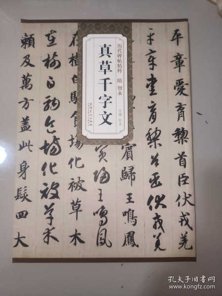 历代碑帖精粹·隋 智永真草千字文