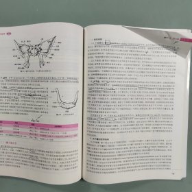 人体运动学（第3版/本科康复/配盘）