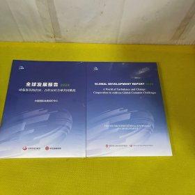 全球发展报告2024（中英文两本）
