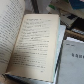 昭明文选译注