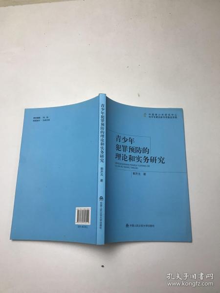 青少年犯罪预防的理论和实务研究