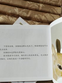 小小自然图书馆全(9册合售)海豚·河马·北极熊·穴兔·企鹅·袋鼠·母鸡·熊猫·猫。