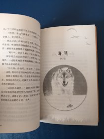 退役军犬黑豹（中外动物小说精品）
