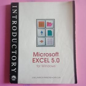 Introductory Microsoft Excel 5 0 For Windows Full Pages