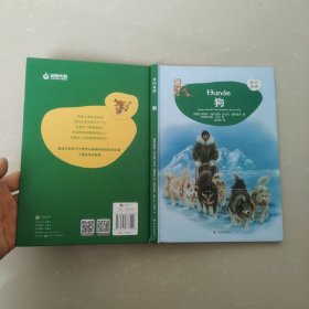 来问我吧--狗