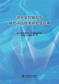 洪水实时模拟与风险评估技术研究及应用