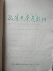 孔雀开屏迊朝阳——100号